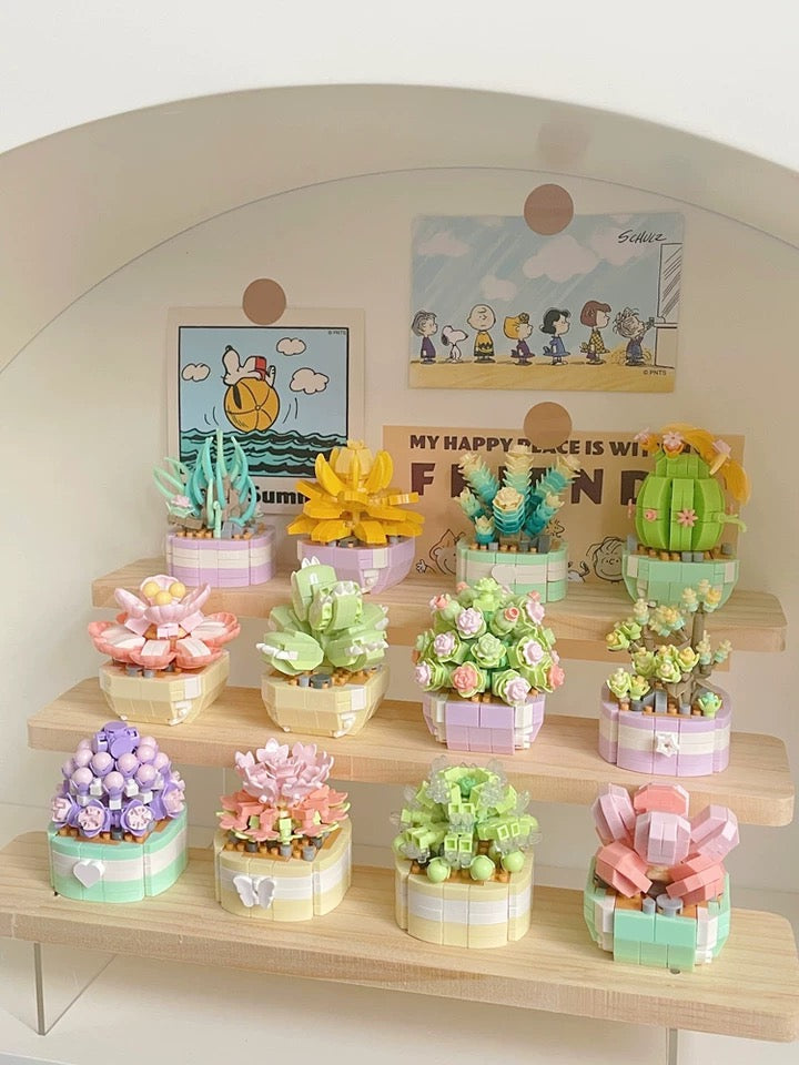 DIY handmade Mini Block Building Block Plant Dairy | Succulent Plants Cactus - Tiny Particle Assembly