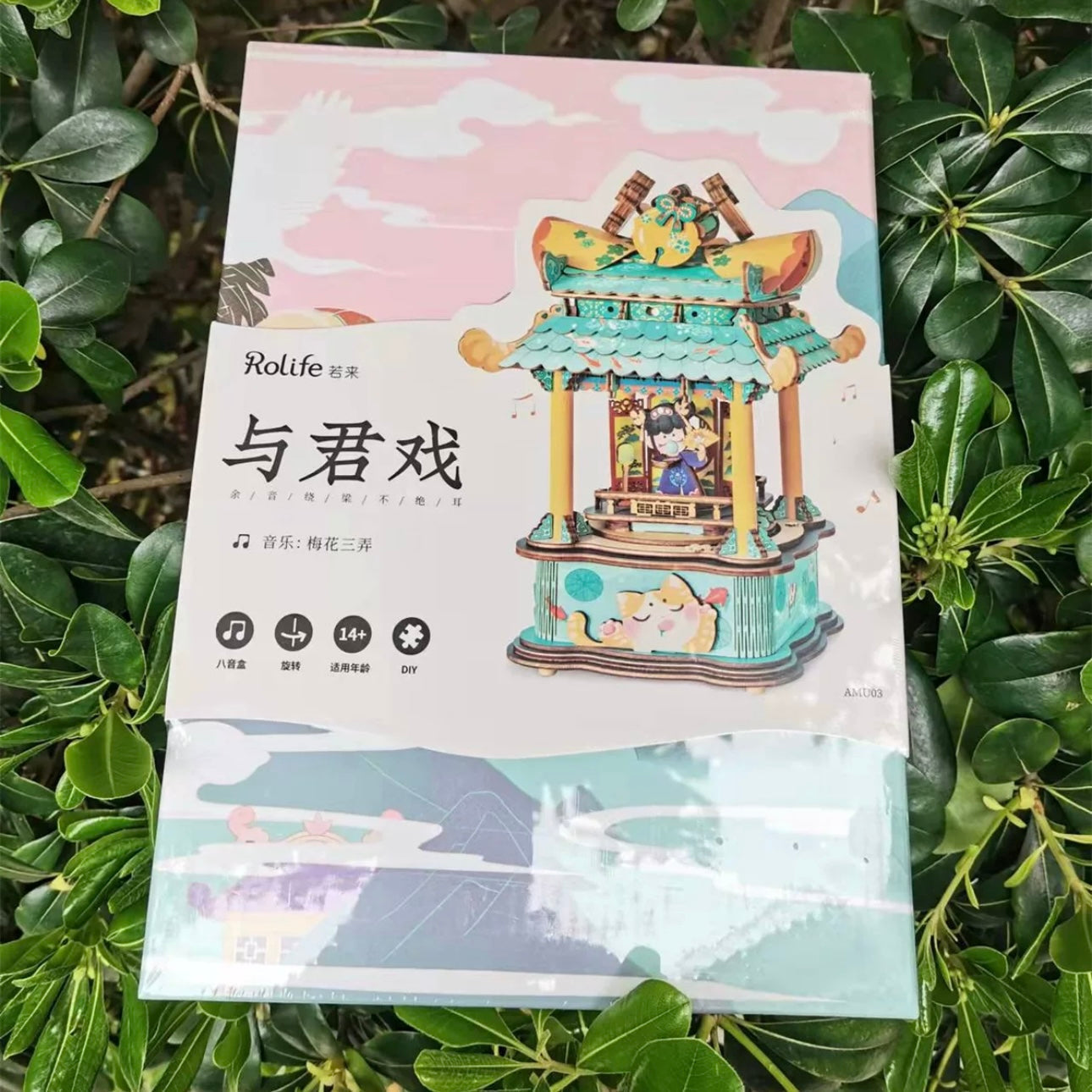 Craft Kits Wooden Music Box | Chinese Drama Style - DIY Handmade Mini World Miniature Gift