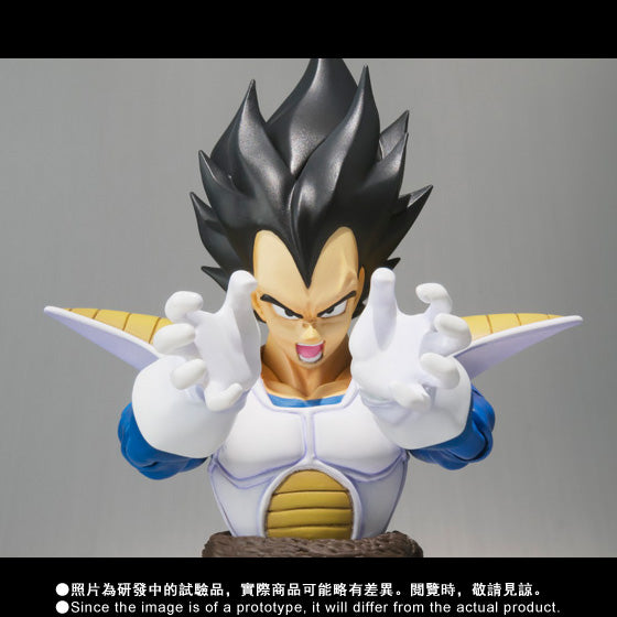 Bandai SHFiguarts Dragon Ball Z Vegeta Battle Suit Limited Edition
