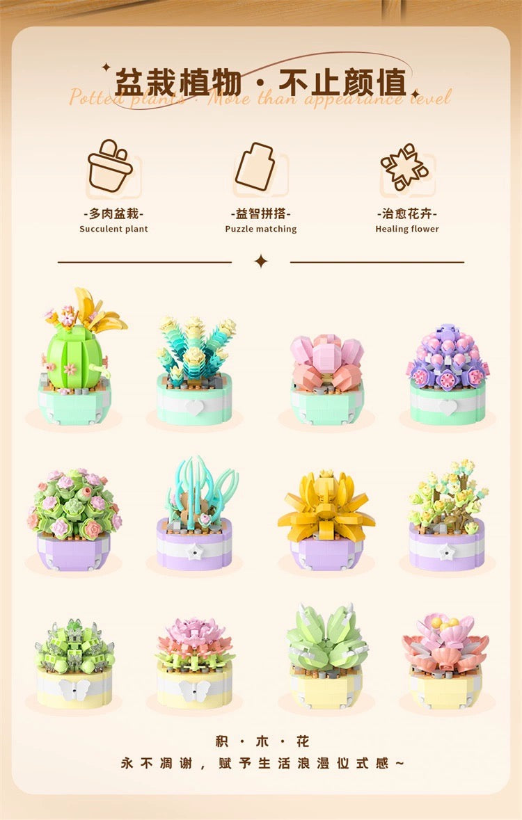 DIY handmade Mini Block Building Block Plant Dairy | Succulent Plants Cactus - Tiny Particle Assembly